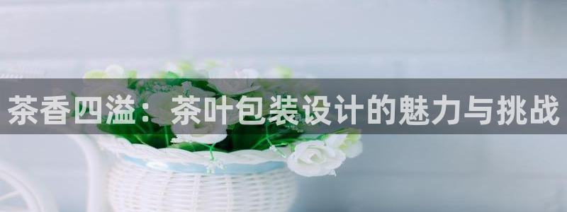 琥珀鸿运平台怎么提现