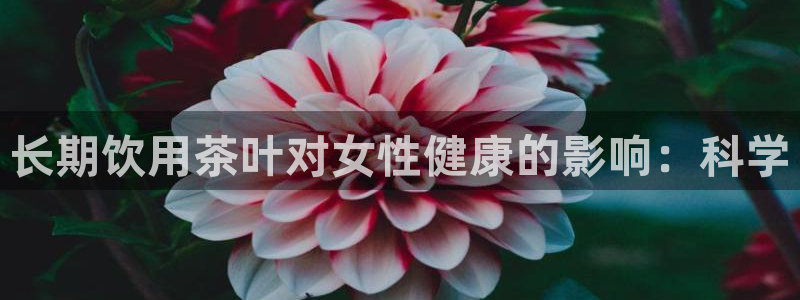 鸿运国际平台网址
