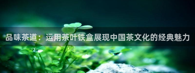 鸿运平台在线客服