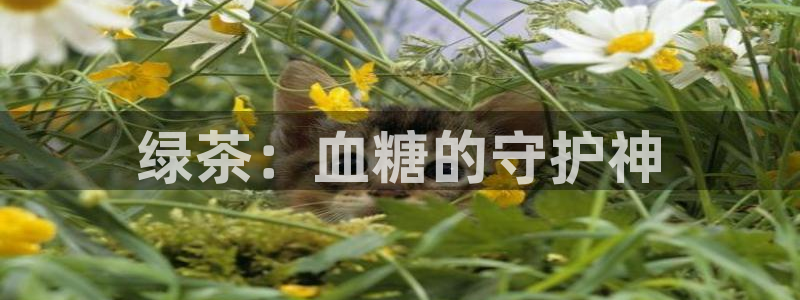 鸿运赌场视讯平台