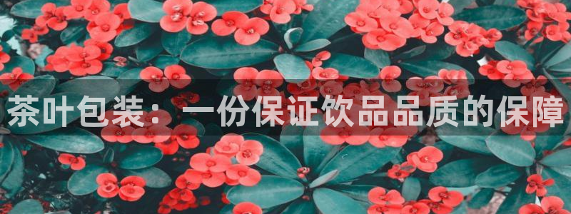 陇原鸿运平台