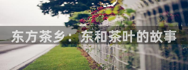 鸿运网上平台