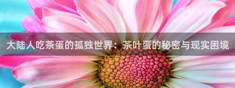 鸿运平台开户