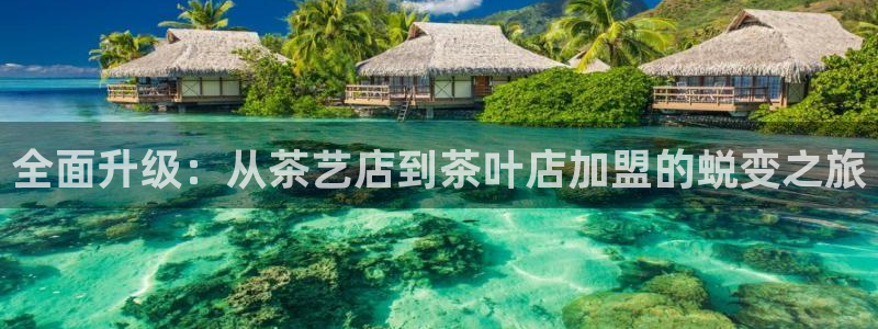 鸿运平台招商