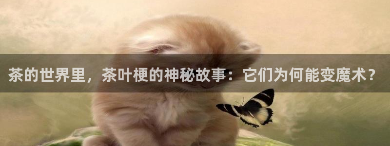 鸿运平台网址