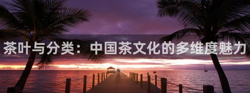鸿运棋牌平台下载