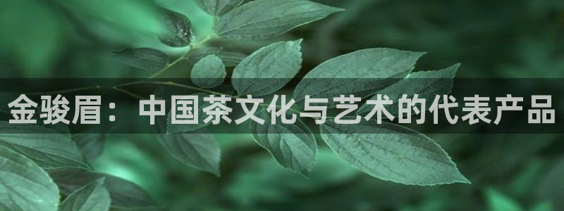 鸿运平台充值