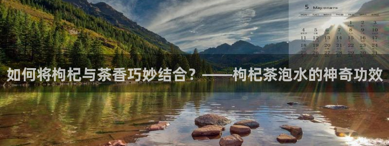 正规鸿运国际平台
