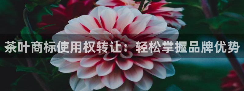 鸿运通什么平台