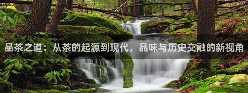 鸿运购平台