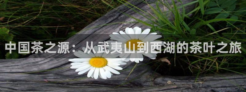 鸿运东方平台网站
