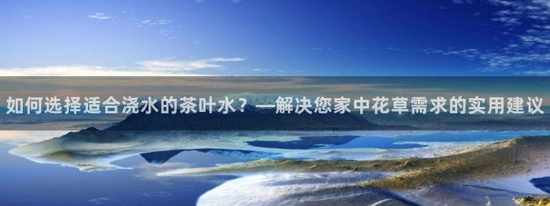 鸿运网站平台