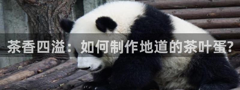 鸿运彩票app平台