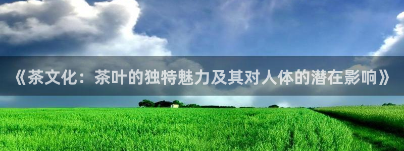 鸿运来投资平台
