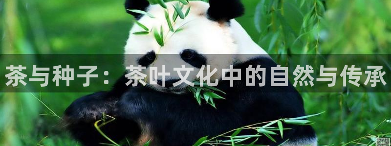 鸿运财富是什么平台