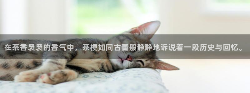 鸿运宝投资平台