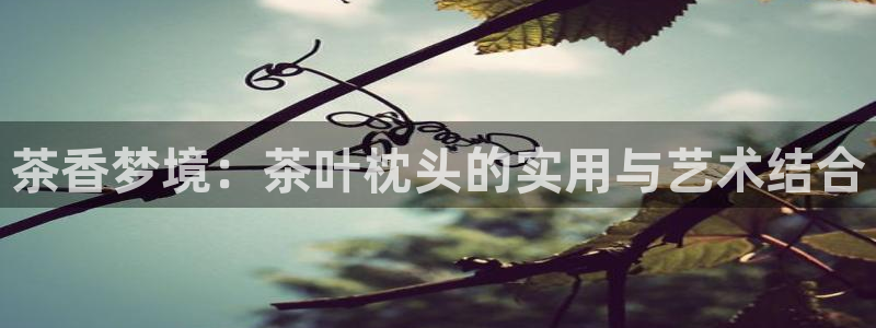 鸿运宝金融投资平台