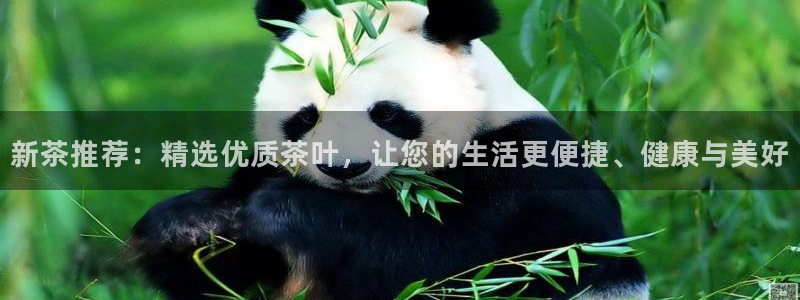 鸿运棋牌平台下载
