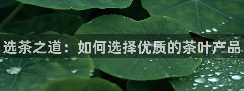 鸿运彩票平台的网址