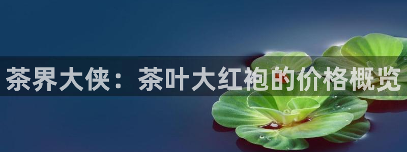 鸿运国际网址平台