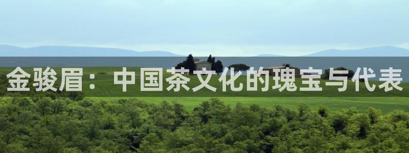铜陵鸿运拍卖平台