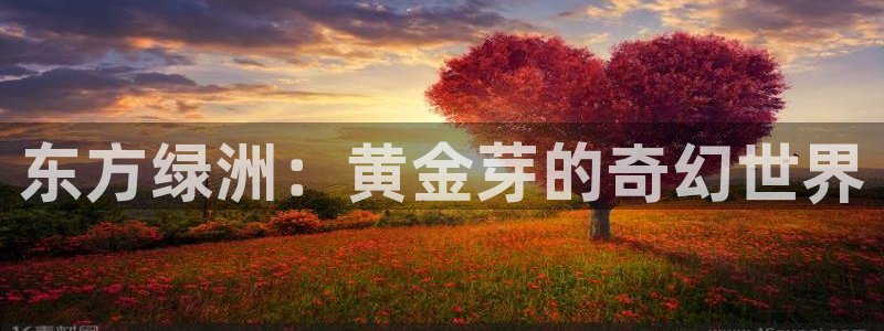 东方阿保鸿运购物平台