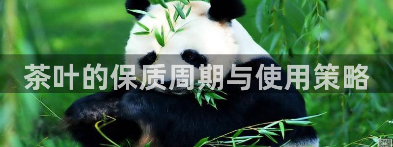 鸿运国际平台网址