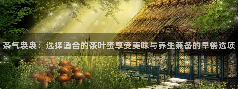 鸿运平台代理理