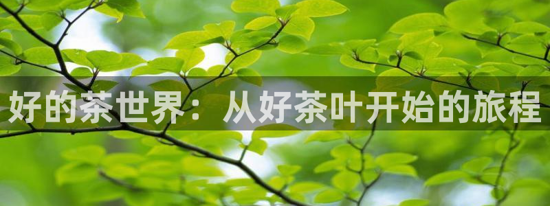 鸿运平台正规吗