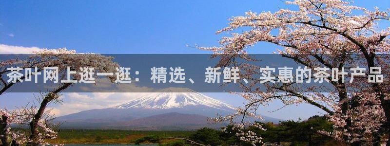 鸿运当头借贷平台