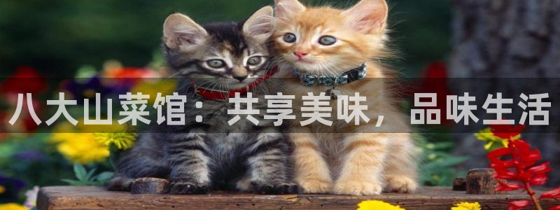 香港鸿运微投资平台
