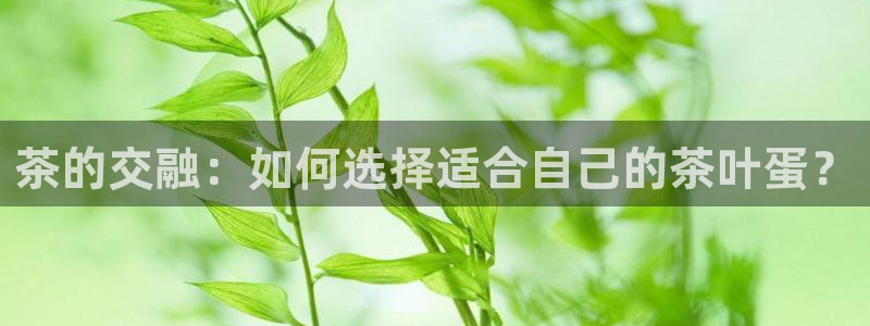 鸿运购是什么平台