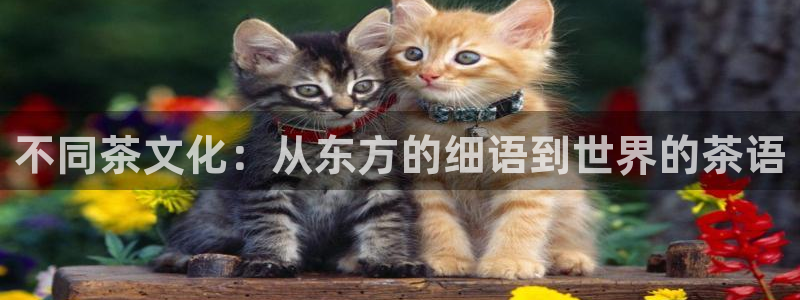 鸿运美食团购平台