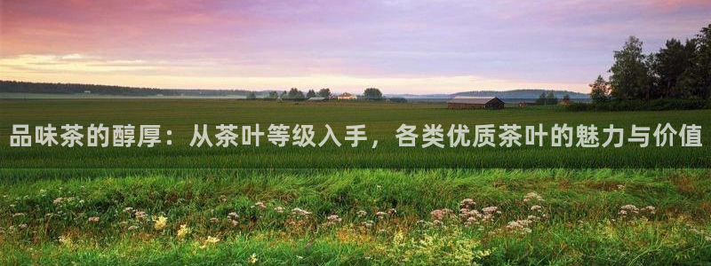 鸿运升降机械平台