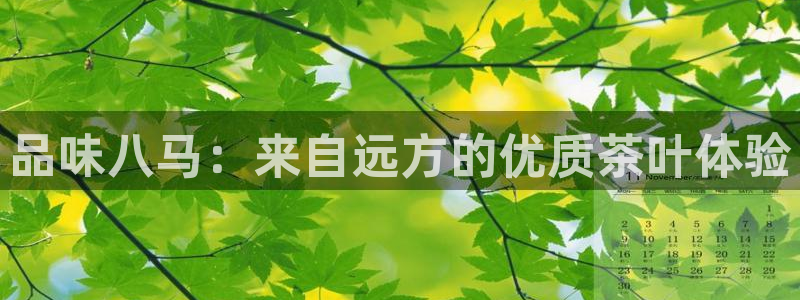 琥珀鸿运是啥平台