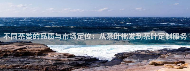 鸿运授权平台