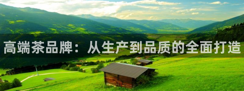 鸿运彩平台