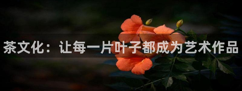 鸿运平台被骗事件
