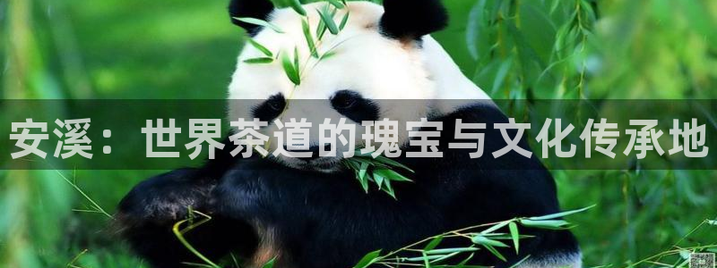 鸿运投资平台