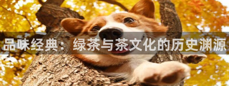 鸿运团队赚钱平台