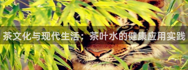 香港鸿运交易平台