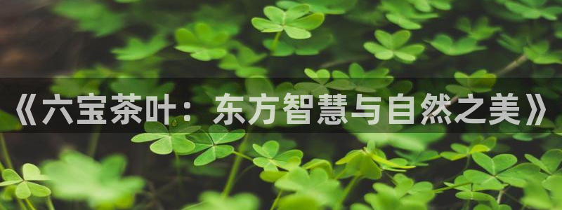 鸿运外汇平台