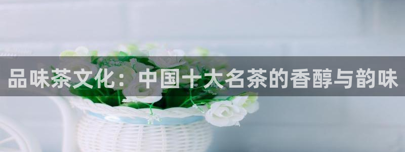 鸿运网是什么平台