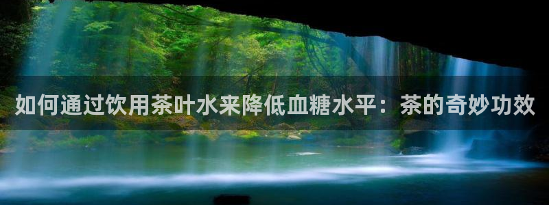 鸿运平台进入
