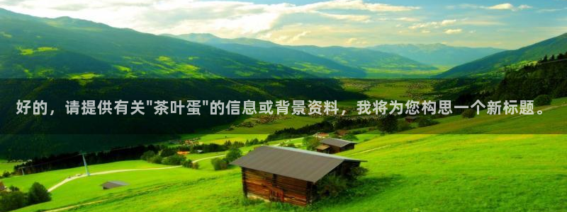 鸿运食品团购平台
