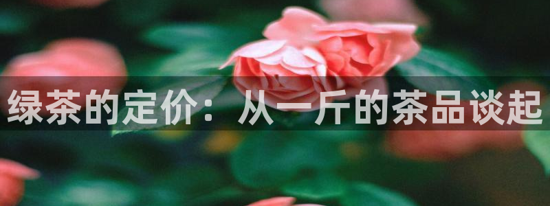 鸿运军团平台被骗