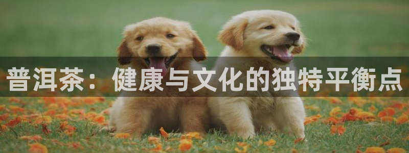 大发鸿运平台