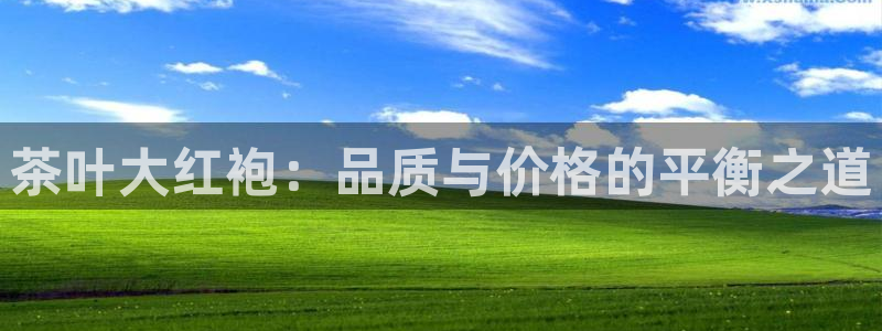 鸿运平台真假