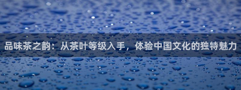 鸿运来是什么平台