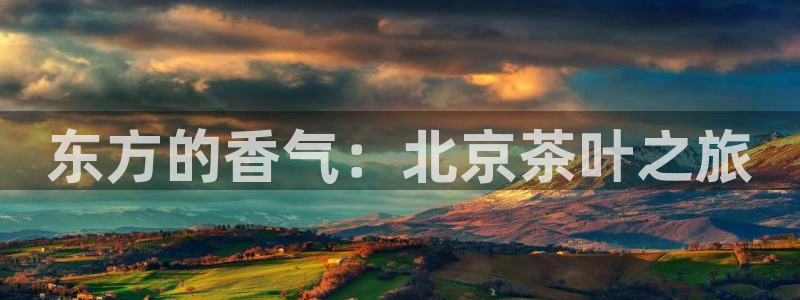 鸿运平台代理